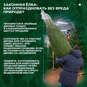 IMG_20251218_174730_939.jpg